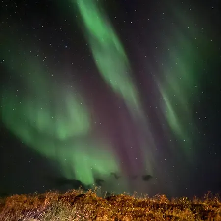 アパート Close To Nature